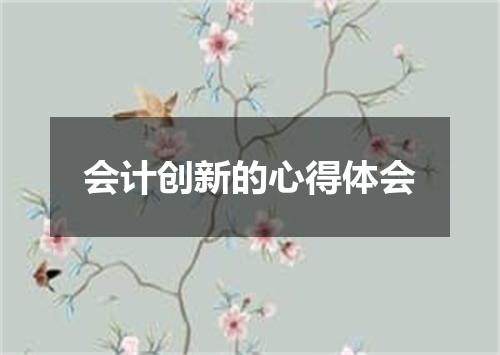 会计创新的心得体会