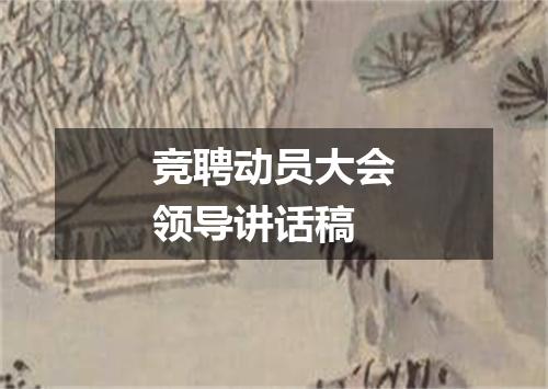 竞聘动员大会领导讲话稿