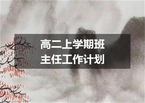 高二上学期班主任工作计划