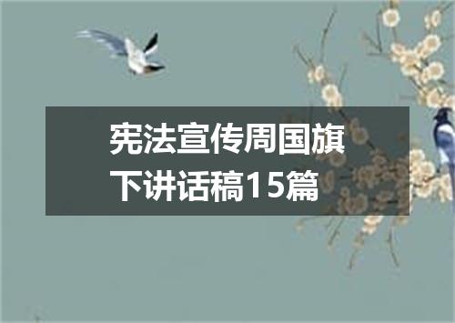 宪法宣传周国旗下讲话稿15篇
