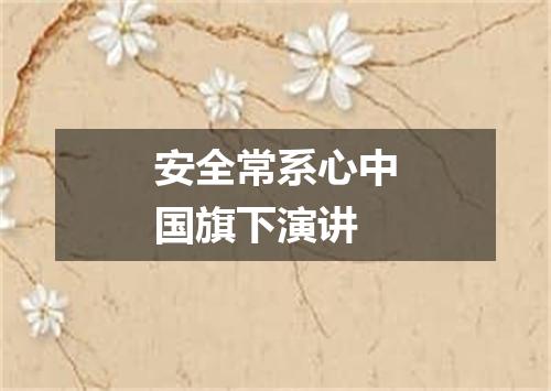 安全常系心中国旗下演讲