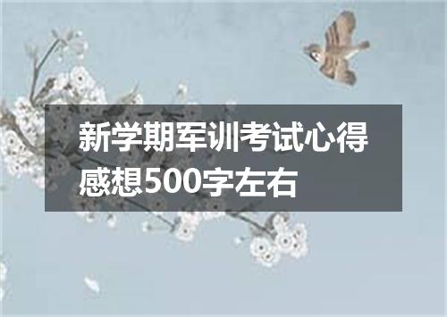 新学期军训考试心得感想500字左右