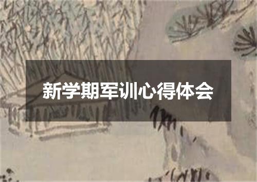 新学期军训心得体会