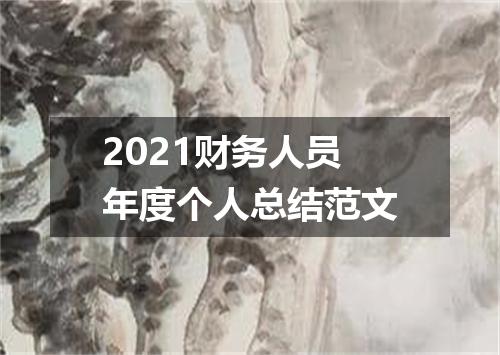 2021财务人员年度个人总结范文