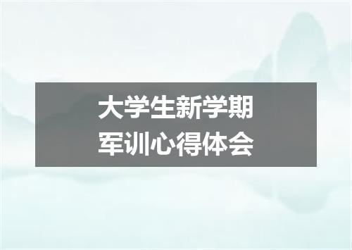 大学生新学期军训心得体会