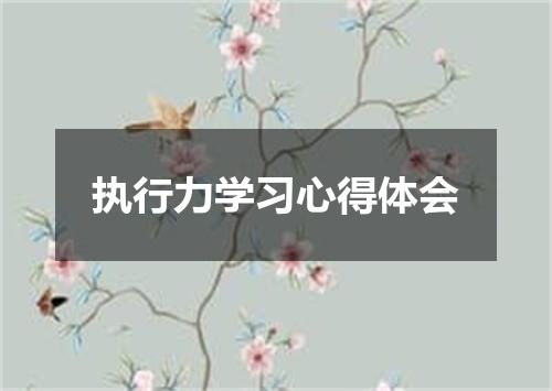 执行力学习心得体会