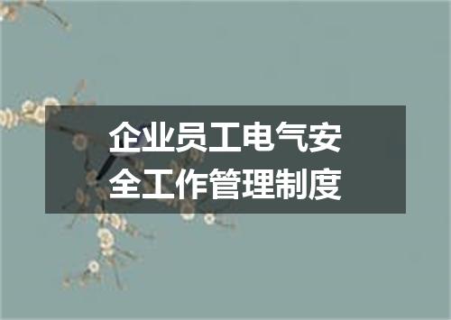 企业员工电气安全工作管理制度