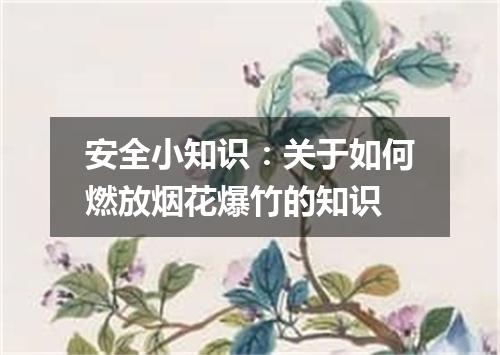 安全小知识：关于如何燃放烟花爆竹的知识