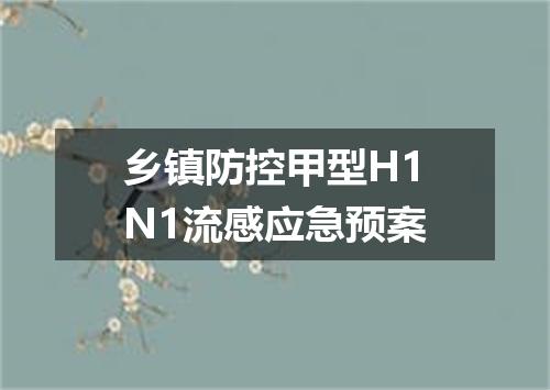 乡镇防控甲型H1N1流感应急预案