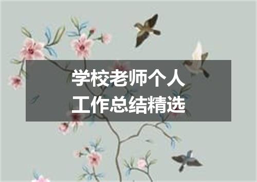 学校老师个人工作总结精选