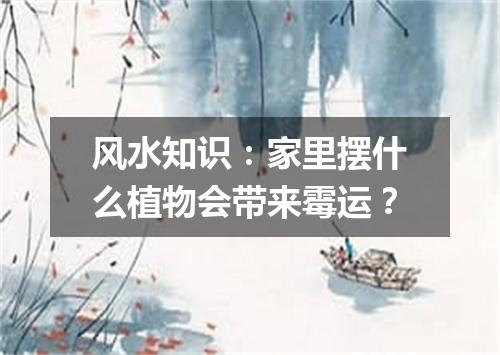 风水知识：家里摆什么植物会带来霉运？
