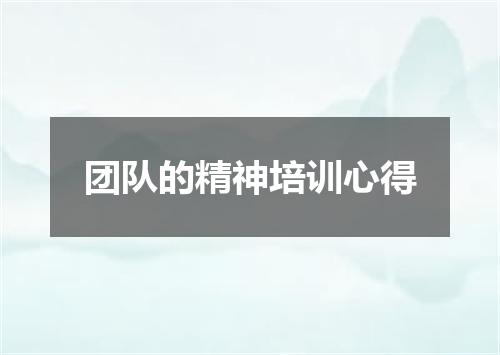 团队的精神培训心得