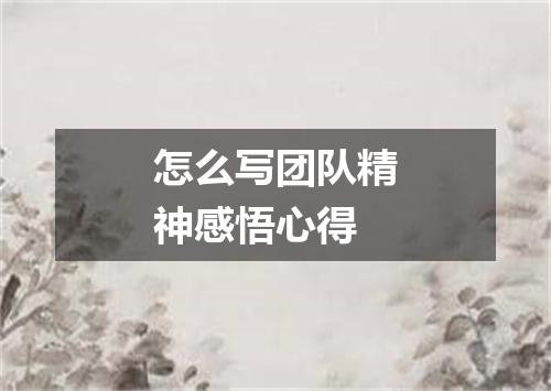 怎么写团队精神感悟心得