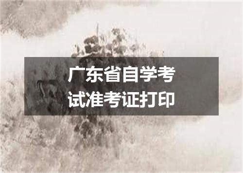 广东省自学考试准考证打印