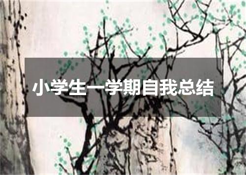 小学生一学期自我总结
