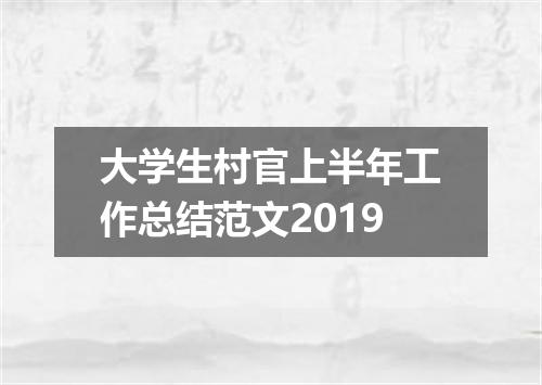 大学生村官上半年工作总结范文2019