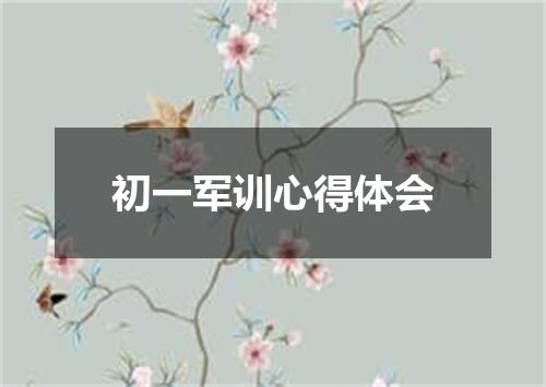 初一军训心得体会
