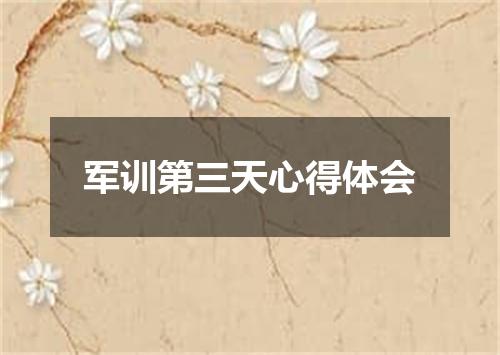 军训第三天心得体会