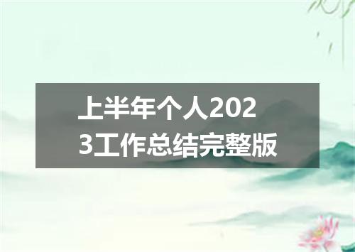 上半年个人2023工作总结完整版