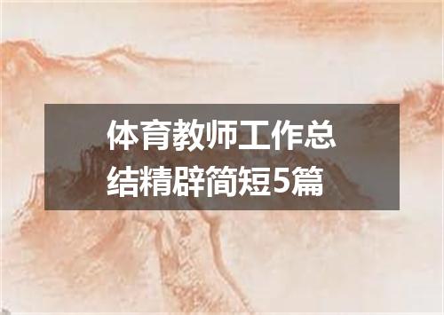 体育教师工作总结精辟简短5篇
