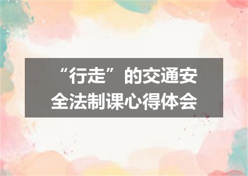 “行走”的交通安全法制课心得体会
