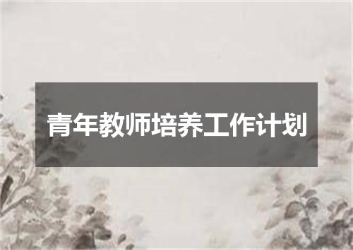 青年教师培养工作计划