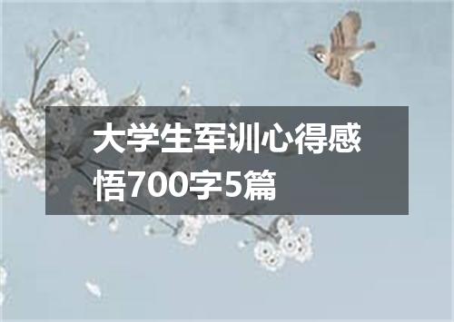 大学生军训心得感悟700字5篇