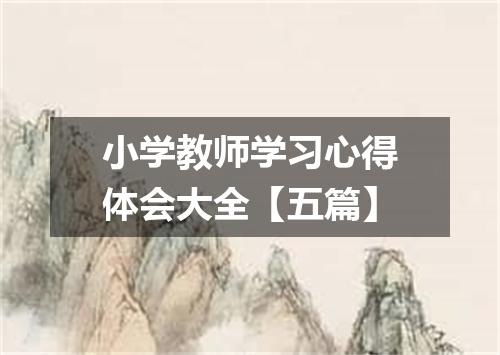 小学教师学习心得体会大全【五篇】