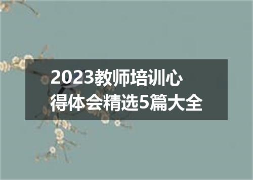2023教师培训心得体会精选5篇大全