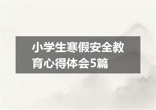 小学生寒假安全教育心得体会5篇
