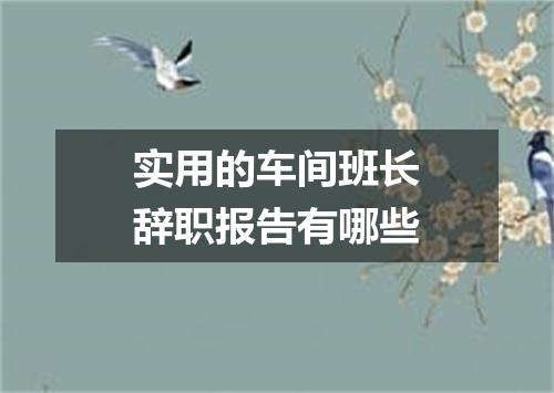 实用的车间班长辞职报告有哪些