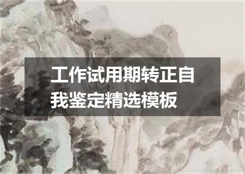 工作试用期转正自我鉴定精选模板