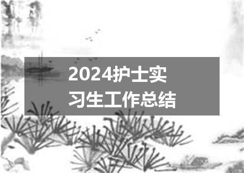 2024护士实习生工作总结