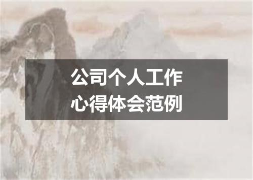 公司个人工作心得体会范例