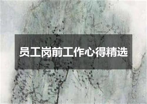 员工岗前工作心得精选