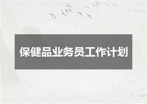保健品业务员工作计划