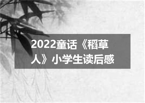 2022童话《稻草人》小学生读后感