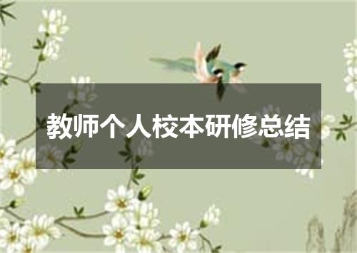 教师个人校本研修总结