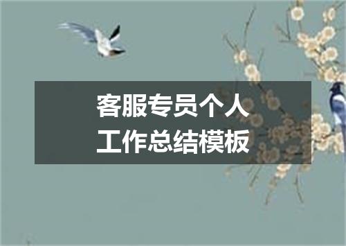 客服专员个人工作总结模板
