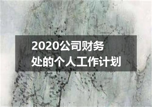 2020公司财务处的个人工作计划