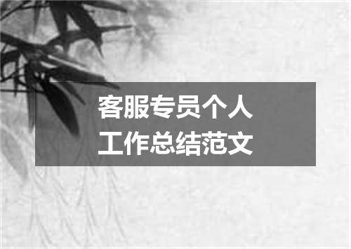 客服专员个人工作总结范文