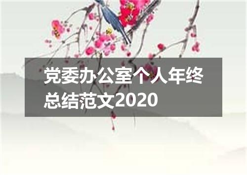 党委办公室个人年终总结范文2020