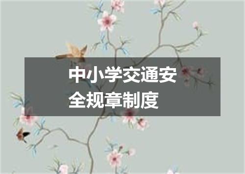 中小学交通安全规章制度