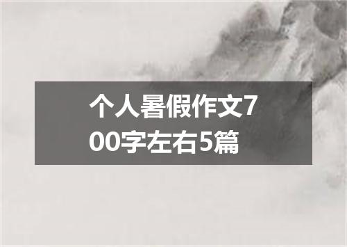 个人暑假作文700字左右5篇