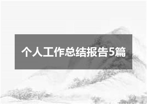 个人工作总结报告5篇