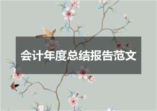 会计年度总结报告范文
