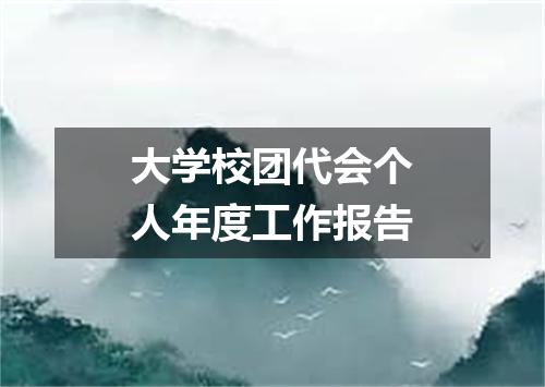 大学校团代会个人年度工作报告