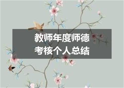 教师年度师德考核个人总结