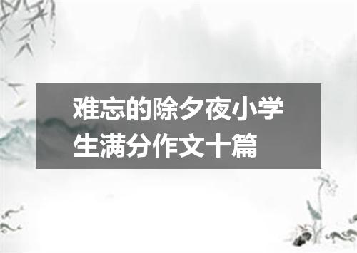 难忘的除夕夜小学生满分作文十篇