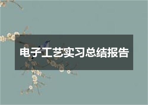 电子工艺实习总结报告